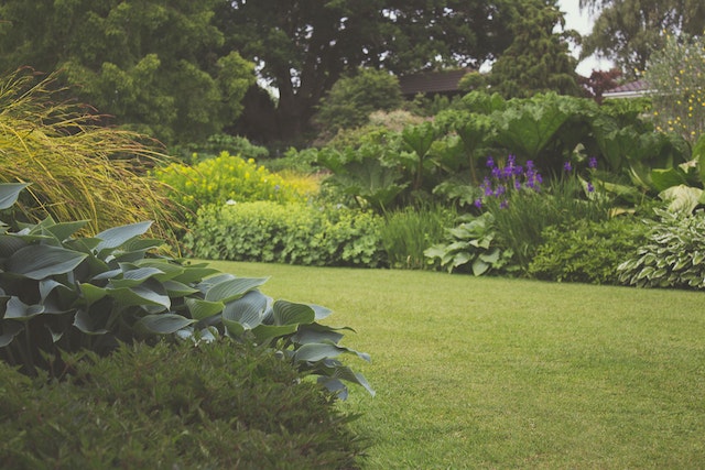 Die Kunst der Gartenpflege: Tipps für ein blühendes Paradies